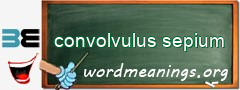 WordMeaning blackboard for convolvulus sepium